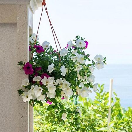 Apartments Villa Bella Vista Gornji Dingač 外观 照片