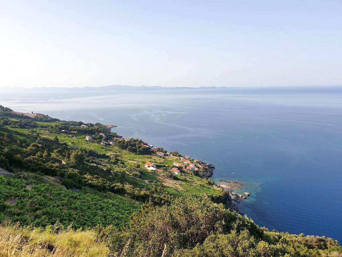 Apartments Villa Bella Vista Gornji Dingač 外观 照片